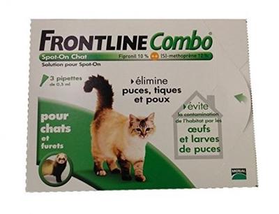 frontline combo kitten