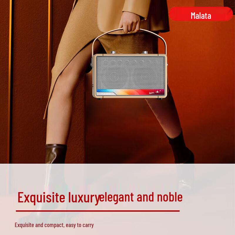 Malata M+9225 Portable Outdoor KTV Bluetooth Speaker CN plug (adapter included)