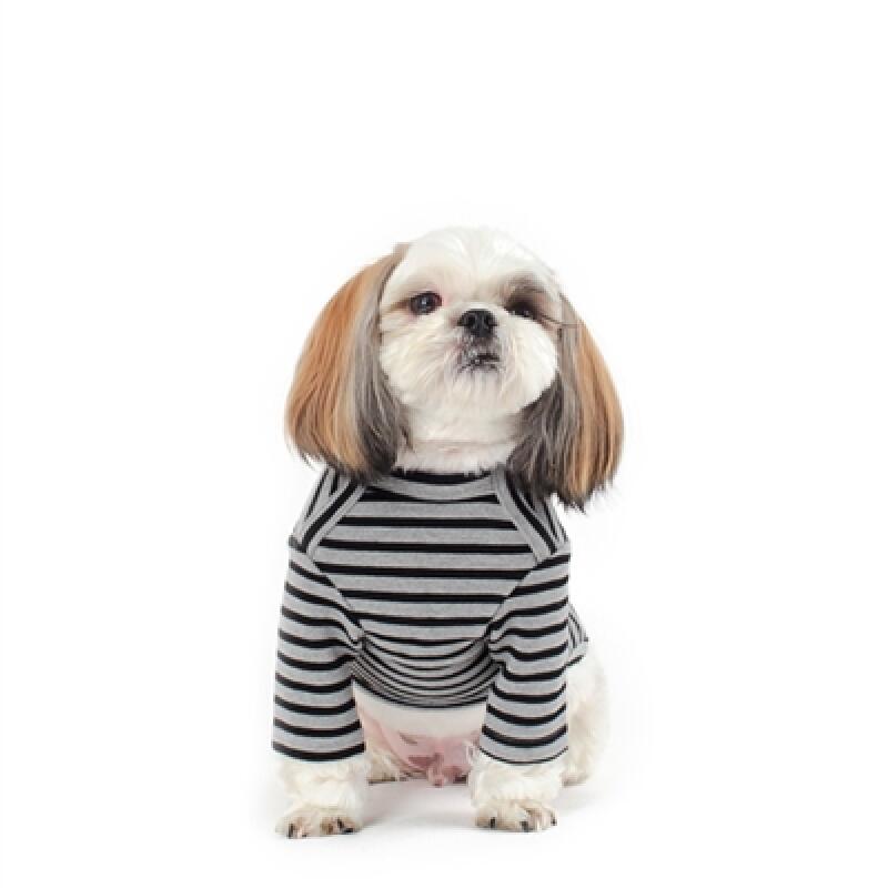 Dangara T-shirt _Gray XL