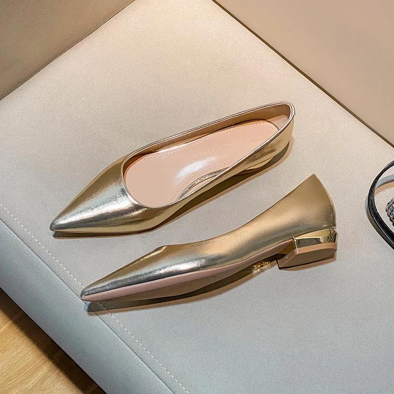 Fashion Silver Pointed Toe Thick Heel Women's Pumps Spring Autumn New Shallow Mouth Temperament Retro Commuter Low Heel Single Shoes