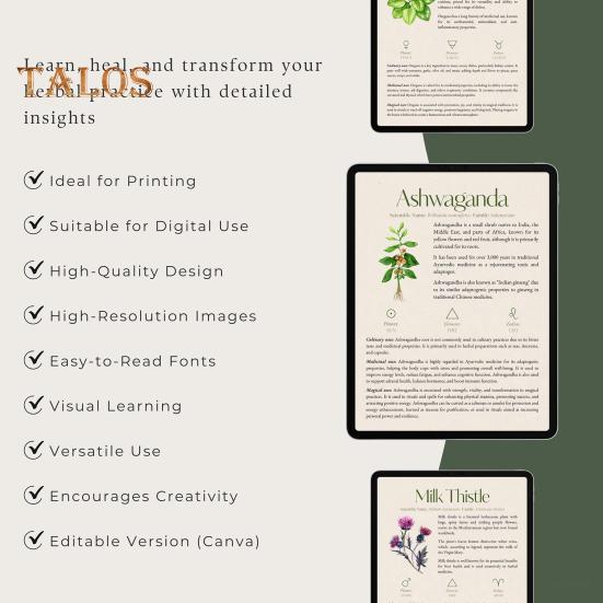 Poradnik ziołowy 82 Rośliny lecznicze Przewodnik po ziołolecznictwie ziołowym Środki ziołowe i przepisy Apteka