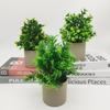 Creative Green Leaves Artificial Grass Bonsai with Flowerpot Ornament Potted Plant Photo Props Faux Flowerpotted Gift