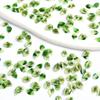 New Luminous Leaf Versatile Nail Art Decorations 3D Soft Carving Multi-Color Nail DIY Wearable Nail Decoration Materials