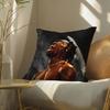 AAAP RRocky Pillow Case Pattern Printed Pillowcase for Living Room Sofa Cushion Cover  Bedroom Decor