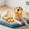 Köpek – Köpek oyuncakları