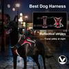 Pettorina riflettente per cani, gilet anti-tiro per cani, guinzaglio per cani di piccola, media e grande taglia, targhetta identificativa personalizzata, accessori per cani