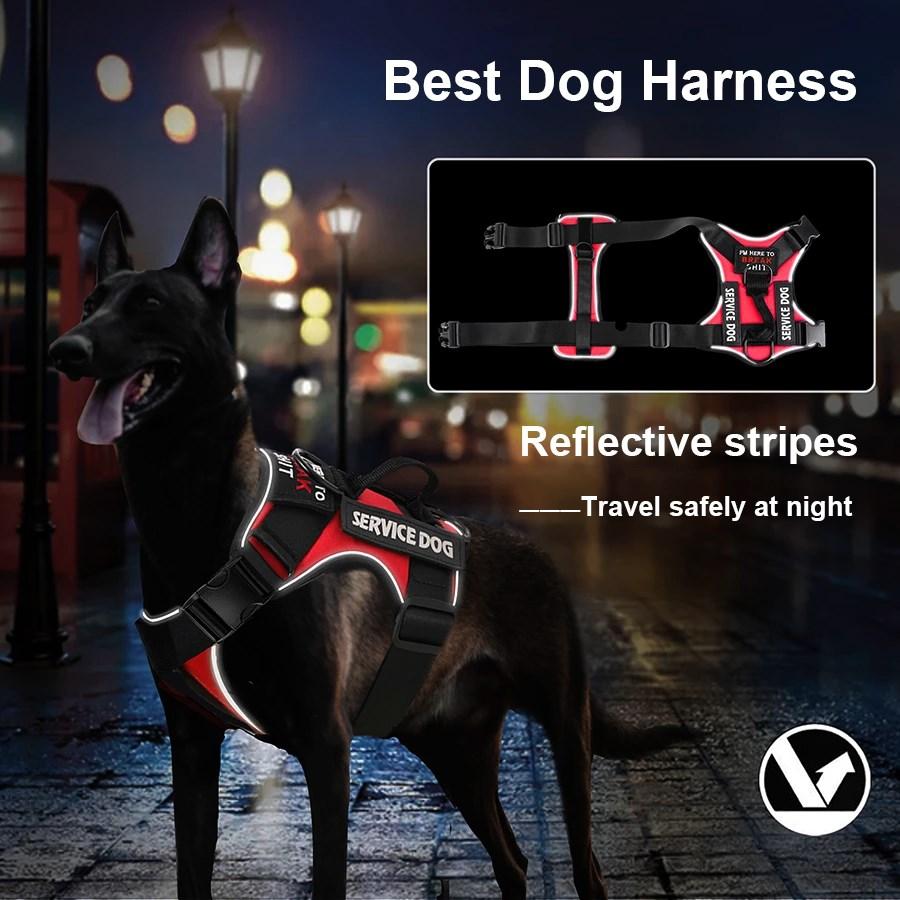 Pettorina riflettente per cani, gilet anti-tiro per cani, guinzaglio per cani di piccola, media e grande taglia, targhetta identificativa personalizzata, accessori per cani