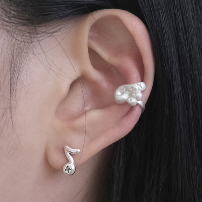 

reinheart Stellar Wing [Left] C. Basic silver finish + matte