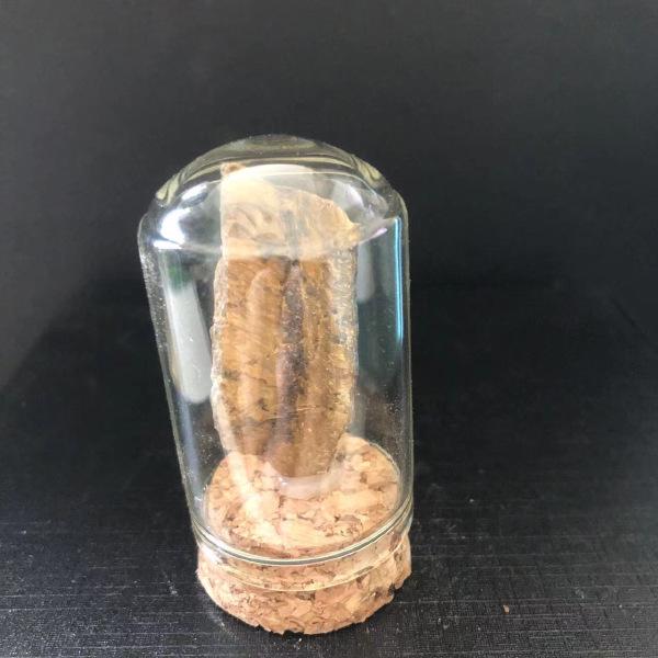 Přírodní krystalické horniny minerální vzorky: Vzdělávací dárky pro děti