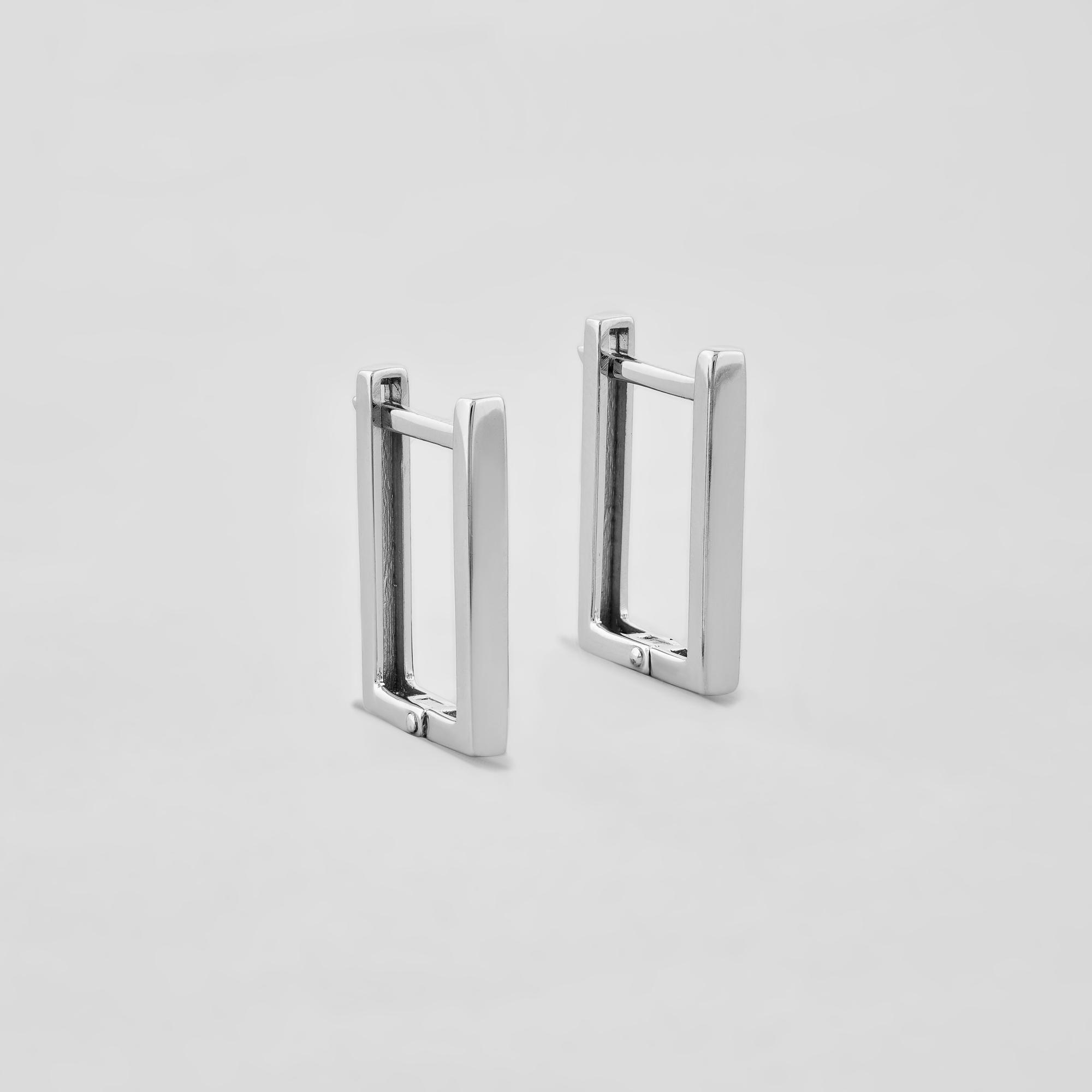 

Сережки Нічний погляд срібний