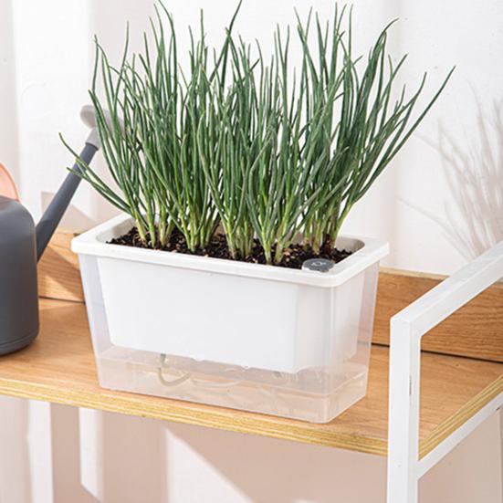 Self Watering Planter Plastic Flowerpot with Reservoir Easy Refill Plant Pot with Wick Ropes for Succulents Scallions Balcony Windowsill Gardening