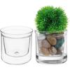 Self Watering Pot for Indoor Plants,with Saucer Reservoir Drainage Holes Bottom for African Violet Orchid Flowers Houseplant