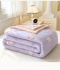 Sleeping Grid A-Class Double-Sided Milk Velvet Plush Cotton Embroidery Multifunctional Blanket