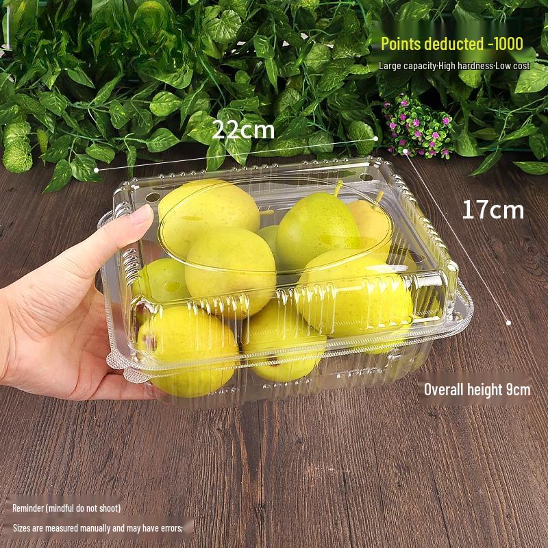 Disposable Fruit and Produce Takeaway Boxes