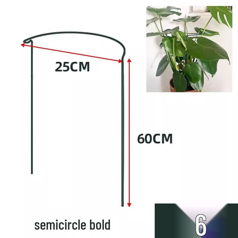 

Semicircle Thickened Iron Art Money Tree Flower Stand