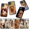 Handyhülle Tier Haustier Golden Retriever Hund für Apple iPhone 17 16 11 Pro XS Max XR 6 7 8 Plus + 16E SE 2020 Air 5 8+ Hülle