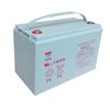 YUASA NP100-12 12V 100AH VRLA Maintenance-Free Battery
