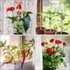10pcs U-Shaped Acrylic Plant Climbing Frames - Transparent, Durable Support for Potted Plants, Ideal for Indoor Vines & Flowers
