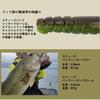 Daiwa Lure STEEZ Bank Hacker Craw Ukigori Roof Flake