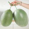 Food Model Fake Cantaloupe Melon Plastic Simulation Fruit Artificial Cantaloupe Melon  Home Decor