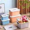 Jinsu Plastic Storage Box with Lid