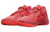 Nike Zoom LeBron Nxxt Gen Ampd 'James Gang' FJ1566-600