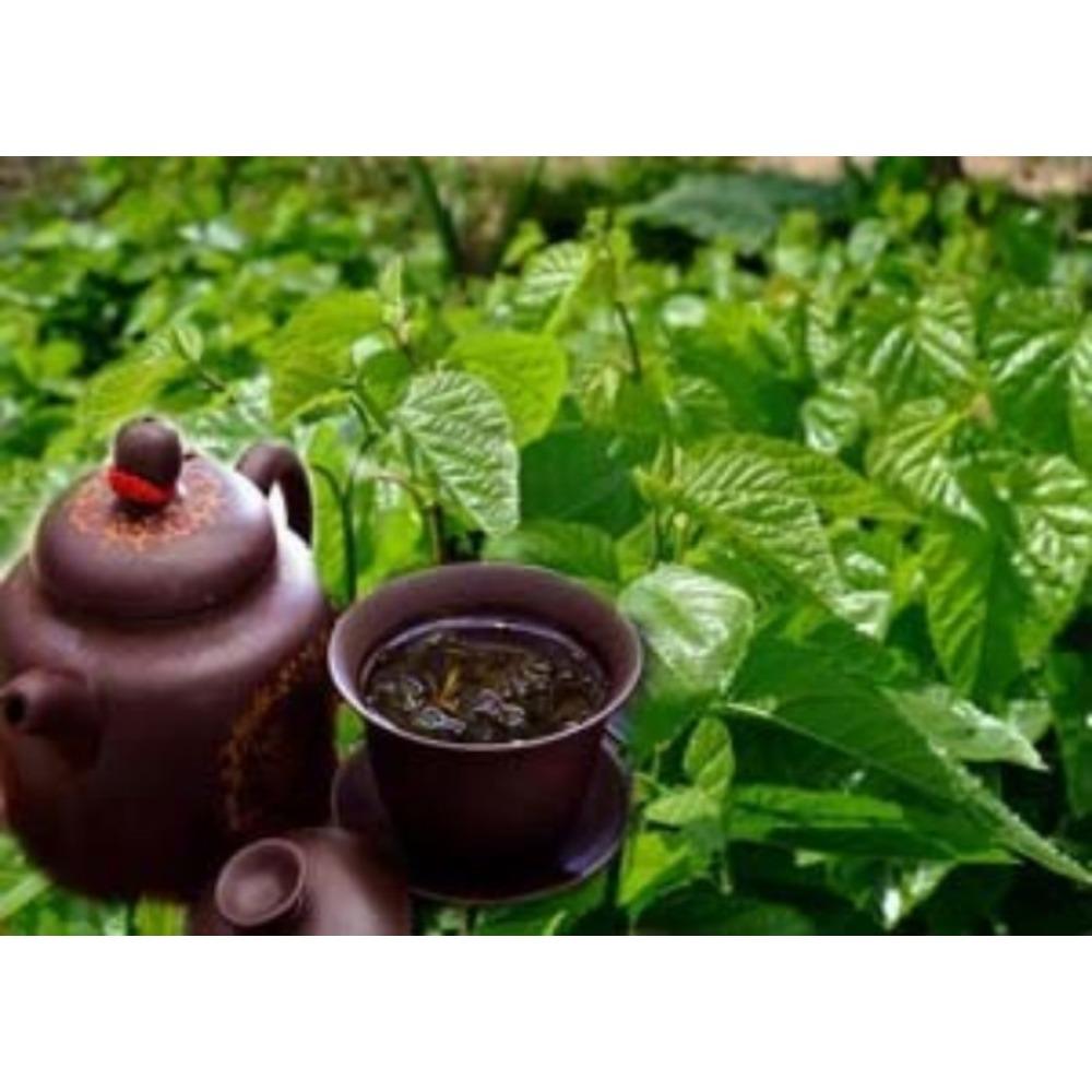 50g Natural Mulberry Leaf Tea Loose Dried Leaves Organic Herbal Infusion Health Wellness