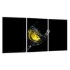 Glas-Kochfeld-Schutzplatte 3x30x52