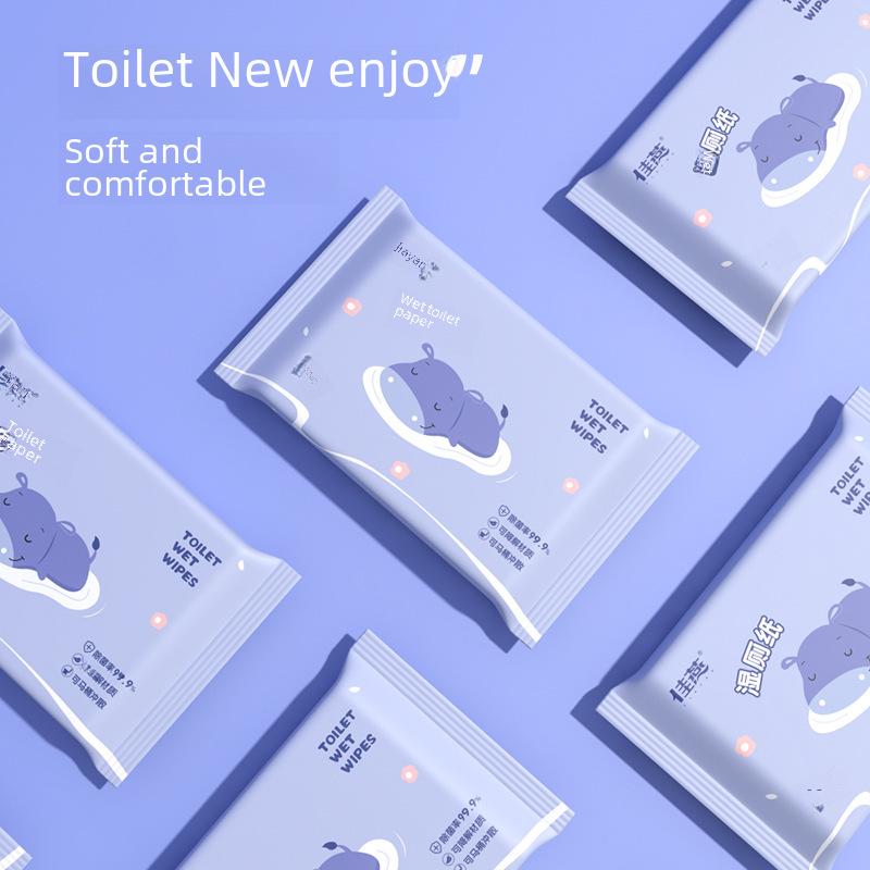 Biodegradable Wet Wipes: 10-Pack of Individually Wrapped Baby Wipes for Home Use