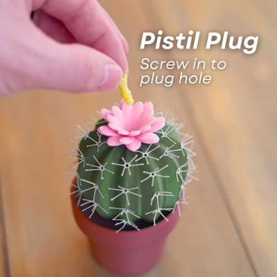 Set di Saliera e Pepiera Yousheng Cactus con Design a Fiore di Imbuto Novità da Cucina Dispenser di Spezie Regalo di Inaugurazione della Casa per Foodies