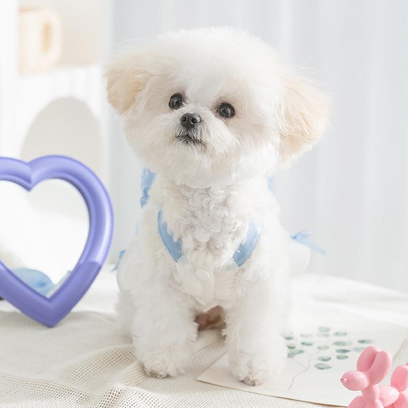 

Breathable mesh bow suspender skirt puppy dog skirt spring summer Tmall princess skirt teddy than bear pet clothes XXL (recommended weight 15-10 kg)