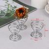 Air Plant Stand Plant Displa Stainless Steel Container