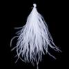 100Pcs Sewing Costuming Ostrich Feathers DIY Feathers Trim Loose Plumas Decorativas  for Halloween
