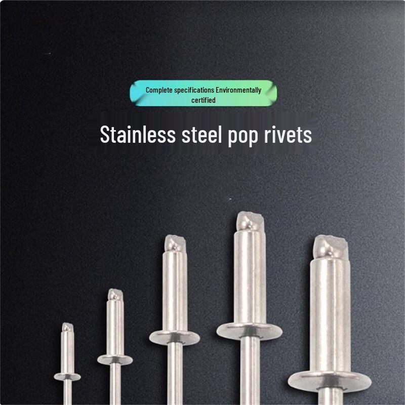 304 Stainless Steel Large Head Blind Rivets