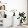 VidaXL Pedestal with Storage White 31x30x60 Cm Engineered Wood, Display Case, Display Stand, Presentation Shelf, Stand 854616