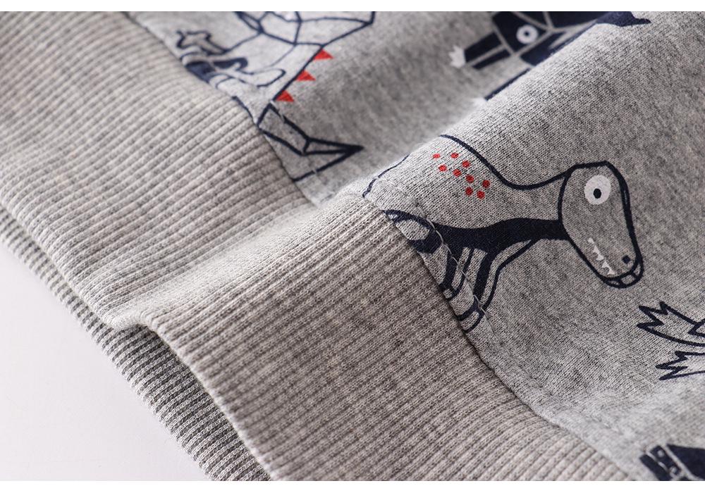European-Style Children's Long Sleeve Cotton Hoodie for Autumn/Winter