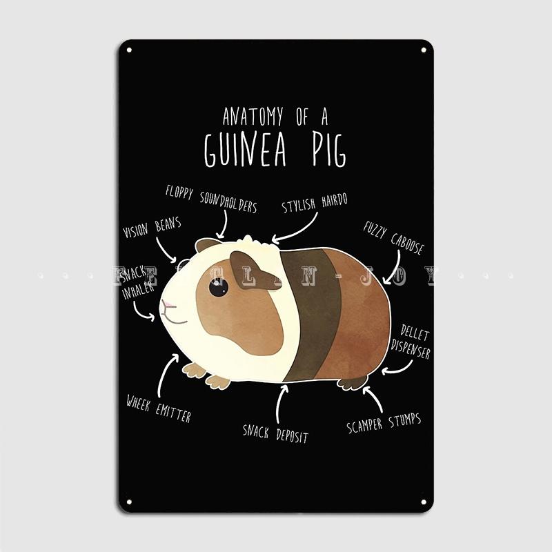 

Gift For Guinea Pig Lovers Anatomy Of A Guinea Pig Metal Plaque Poster Personalized Wall Decor Party Tin Sign Poster 20x30cm