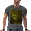 Ireland Forest Tshirt T Shirt For Unisex 100 Percent Cotton Unisex T Shirt Cotton High Quality T Shirt Unisex Cotton Tshirt