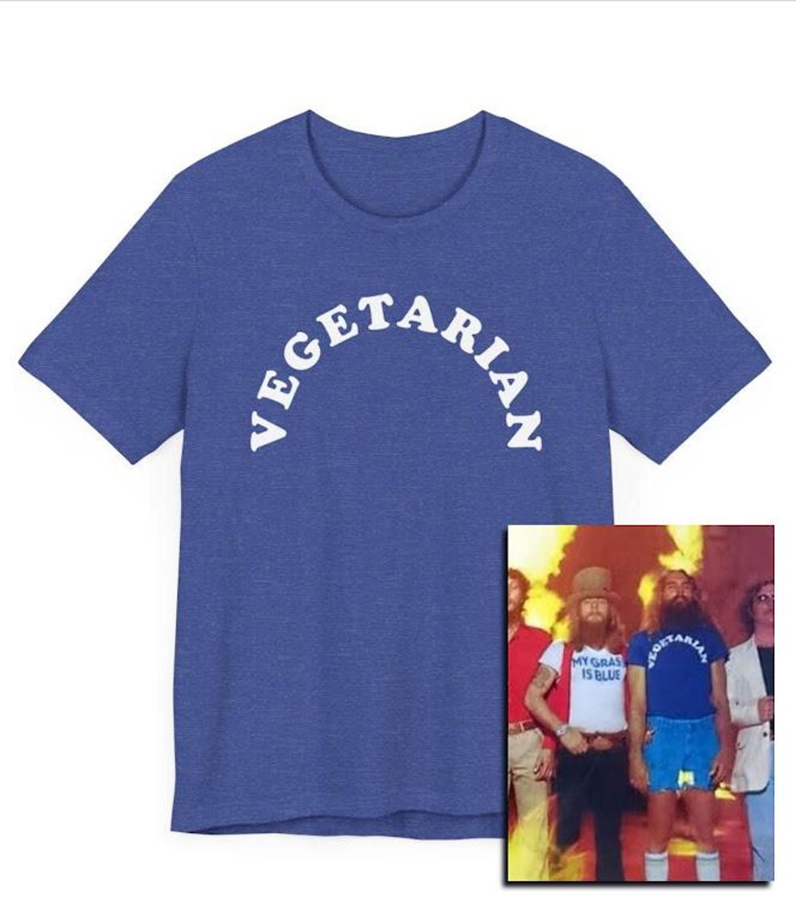 Vegetarian T-Shirt, Southern Rock Tee, Classic Rock Apparel, Plant-Based, Healthy, Hippie, Vegetarian Gift, Festival Tee Shirt, Concert S