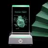 3D Lasers Etched Crystal Human Organs Model Anatomical Heart/Teeth Figurines Glass Paperweight with LED Base Doctor
