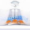 Fudecheng Breathable Lumbar Support Belt