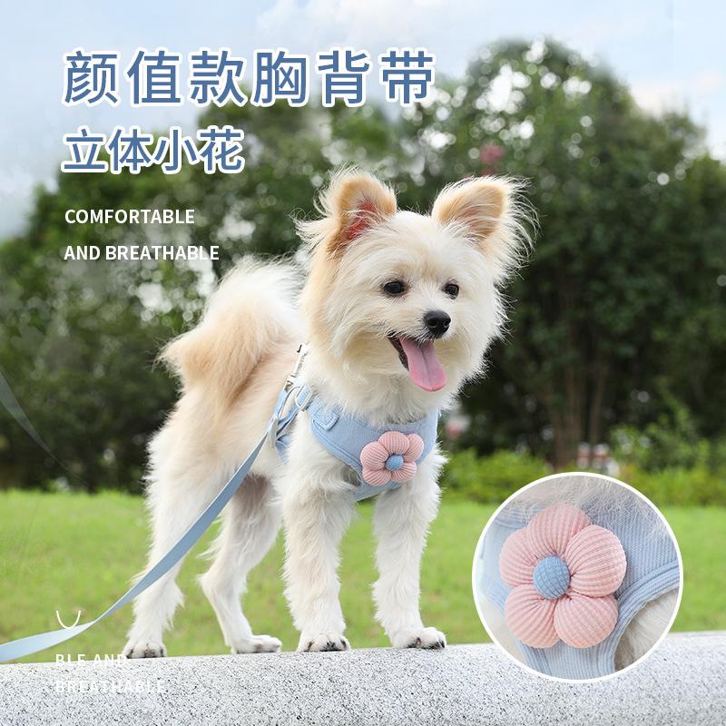Puppy Leash Dog Vest Small Puppy Teddy Bichon Pomeranian Bichon Harness Leash for Walking Dogs