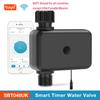 Sistema di irrigazione smart Tuya Wifi Timer automatico per l'acqua Timer per irrigatore Unità di controllo per tubo Flessibile Supporto Alexa per Giardino