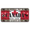 Autokennzeichen Metallblechschild Ländername Nationalflagge Kunstmalerei Bar Club Heimdeko Pin Up Wandschilder Plaketten 15x30cm