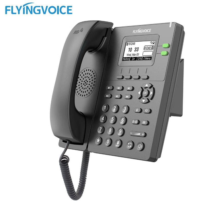 Flying Voice P20 Wireless SIP IP Phone (CN Version)