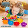 Counting Animal Sorting Toys for Toddlers Preschool Learning Activities for Math Color Cognition Montessori Baby STEM Gift