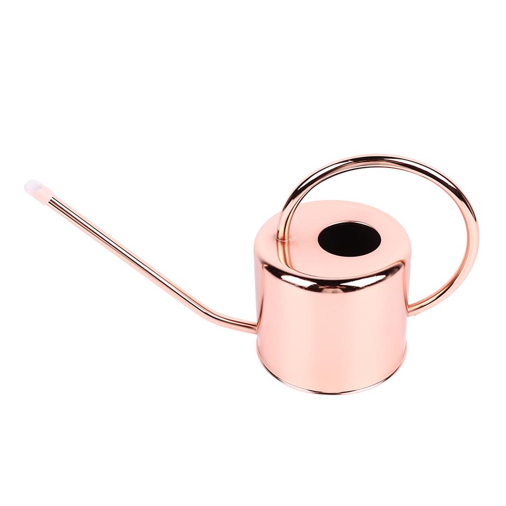 Watering Can Stainless Steel Large Capacity Retro Small Long Spout Water Can for Home Garden