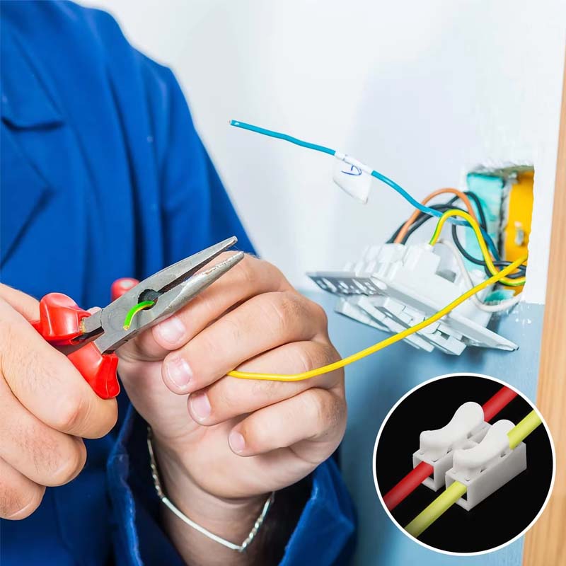 50pcs Push Quick Wire Cable CH2 Connector 10A 220V 2 Pin Push-in Spring Loaded Electrical Connectors for Lighting Electrical