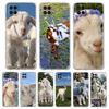Phone Case For Samsung Galaxy A13 A33 A35 A55 A73 A53 A23 A51 A71 A21S A72 A31 A41 A05s A03S A15 A25 5G Cover Cartoon Cute Goat