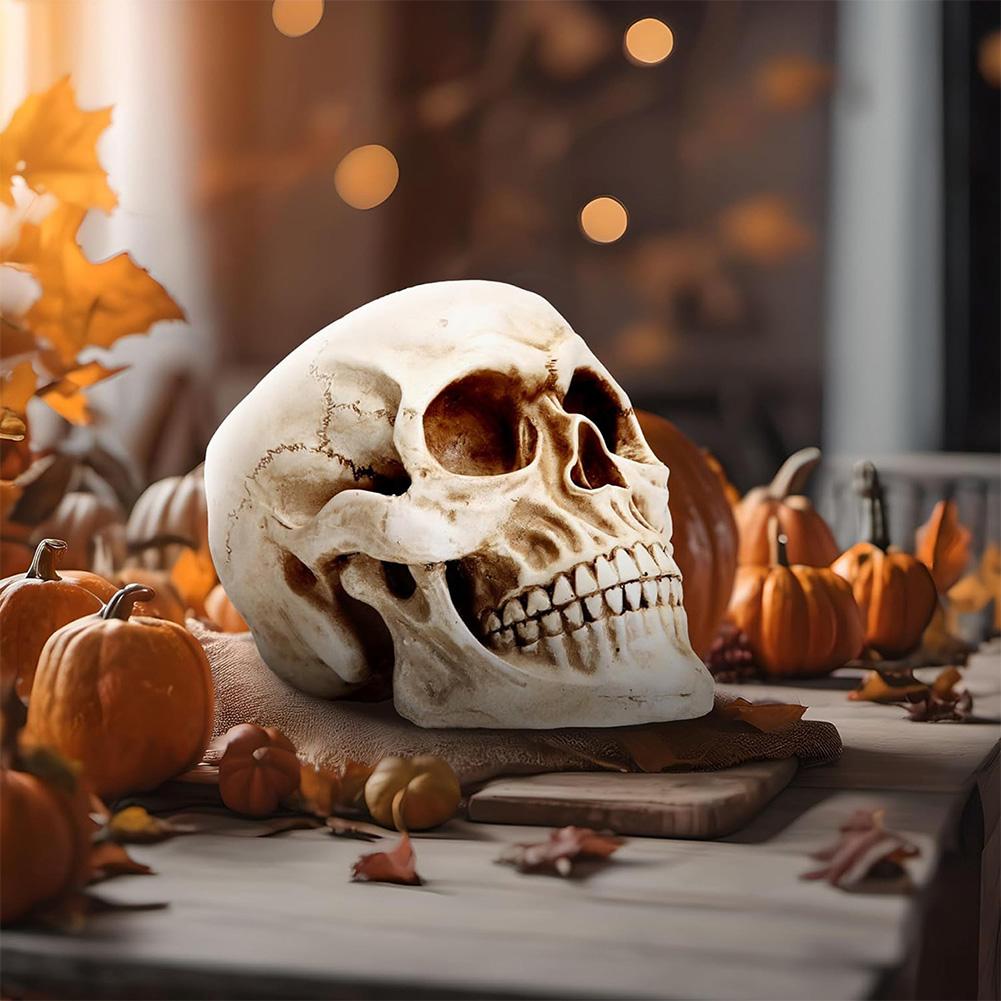 Halloween Skull Head Model Resin Horror Skull Statue Life Size for Indoor Desk Decor